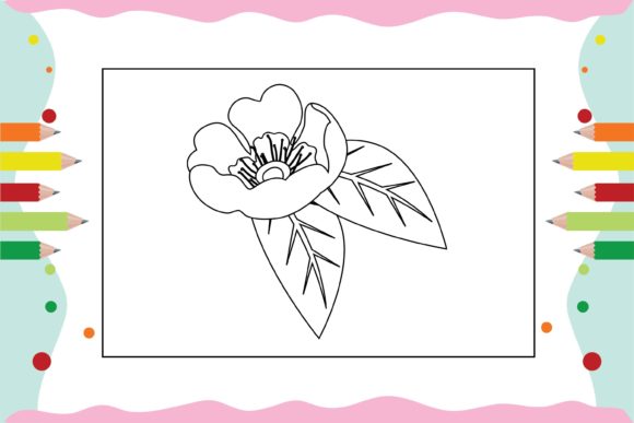 Flowers Coloring Pages for Kid 40: Graphics and Illustrations Review