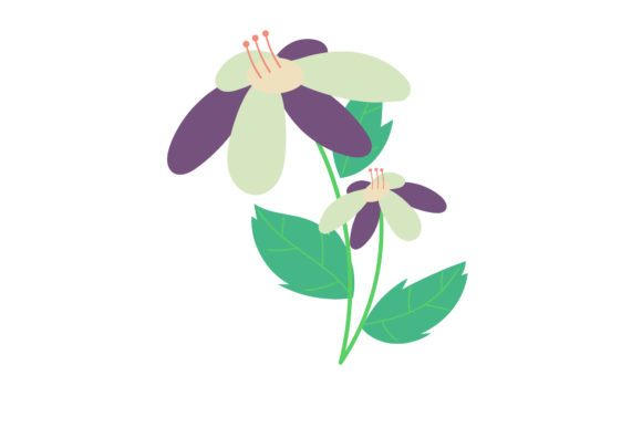 Flowers Nature Decoration Element: Graphics and Illustrations for Brand Design