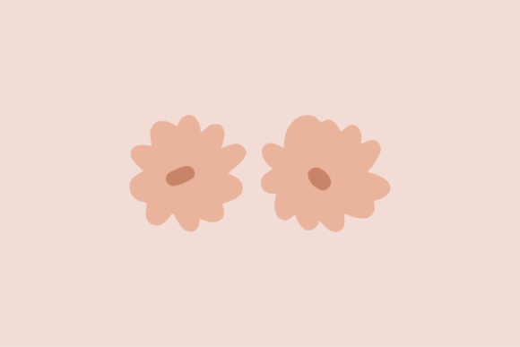 Simple Boho Two Summer Flowers Art Graphics and Illustrations