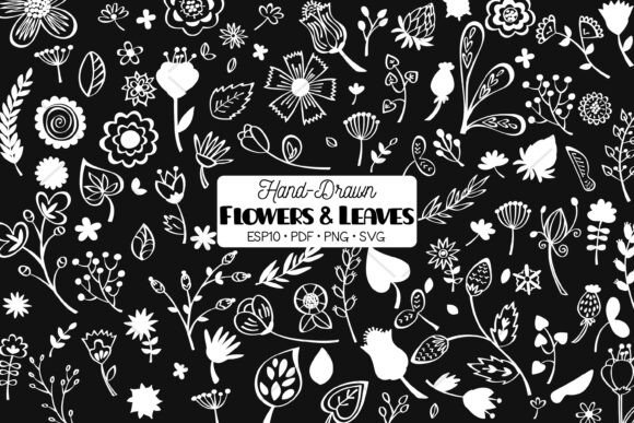 White Flowers Leaves Nature, Plants Graphics and Illustrations